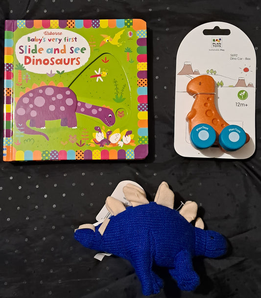 Dinosaur Book Box