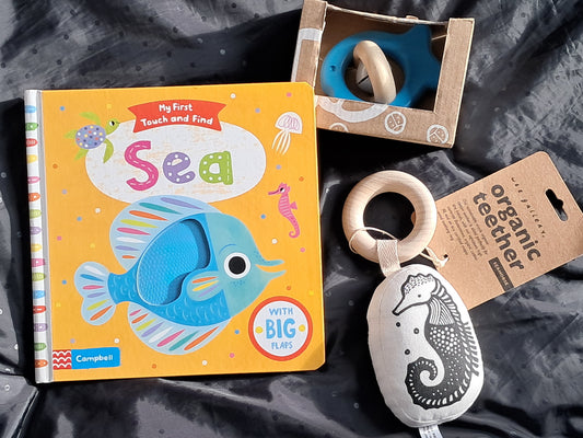 Sea Book Box