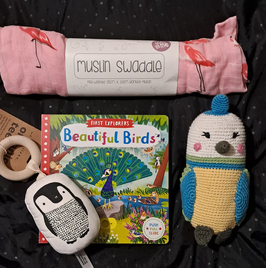 Bird Book Box
