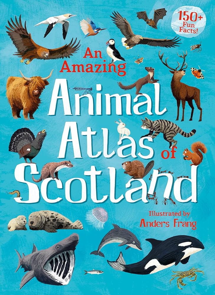 Scottish Animals Box