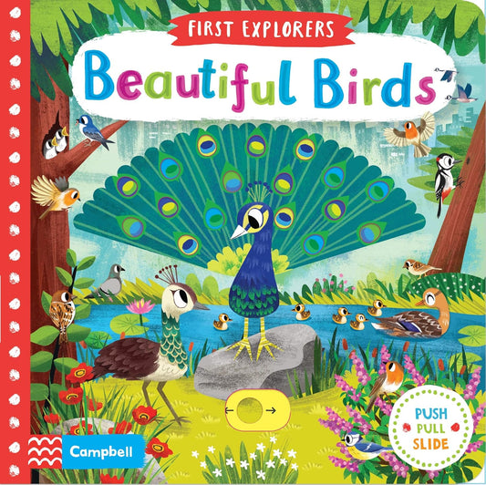 Beautiful Birds Book