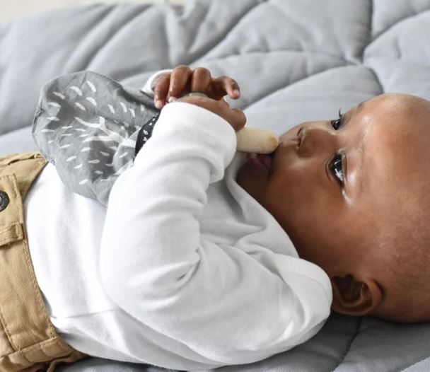 Sensory Farm Baby Book Box