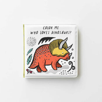 Colour Changing Dinosaur Book