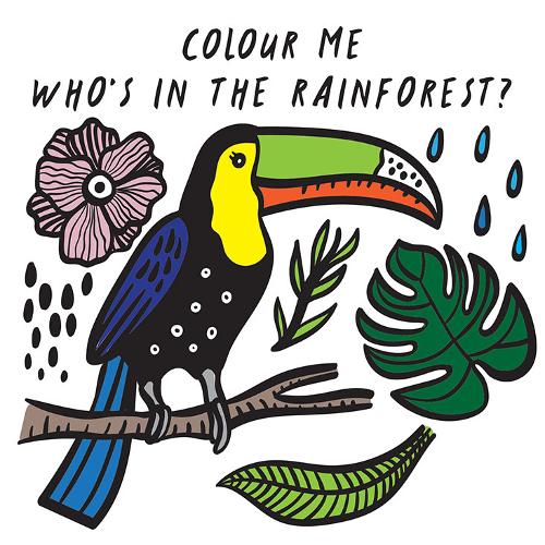 Colour Changing Rainforest Book
