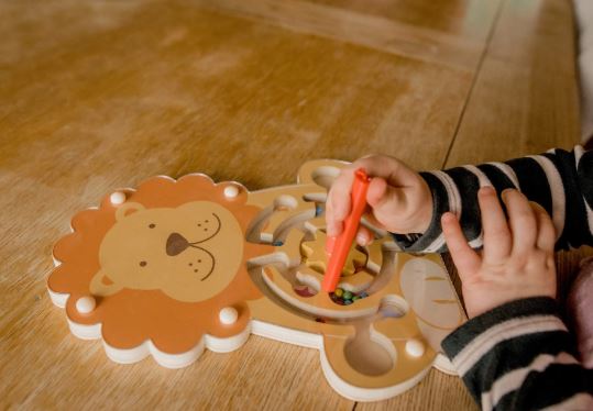 Animal Dexterity Box